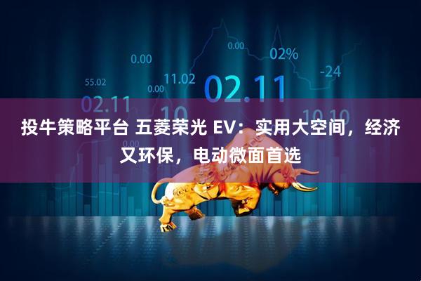 投牛策略平台 五菱荣光 EV：实用大空间，经济又环保，电动微面首选